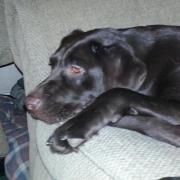 Profile Picture of Melanie Haley (@astroboi71) on Pinterest