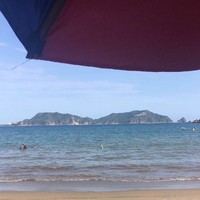 Profile Picture of Lorena Paz (@lorena-paz-2) on Quora