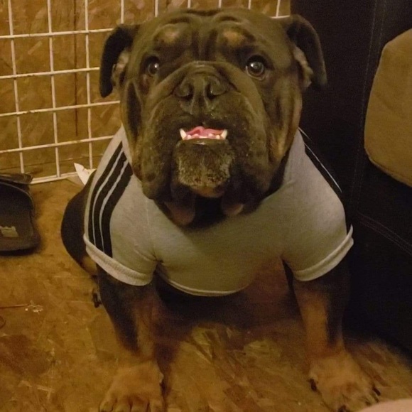 Profile Picture of Roslyn Bezanilla (@roslynbezanilla) on Poshmark