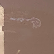 Profile Picture of Eric Perez (@EricPerez-r5v) on Youtube