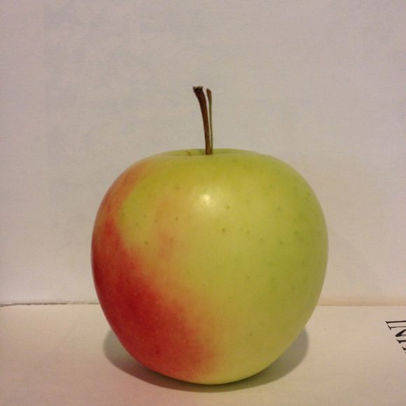 Profile Picture of Zee Daniska (@zeedaniska) on Poshmark