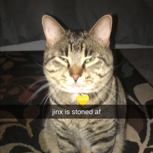 Profile Picture of Evan Davidson (@evandavvy8) on Poshmark