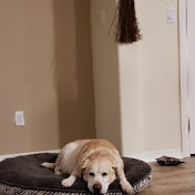 Profile Picture of Shawn Bowers (@shawnbowers5509) on Youtube