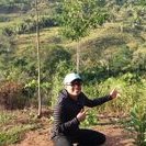 Profile Picture of Marks Nick Paredes (@MarlonRiosRoja1) on Twitter