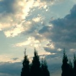 Eugene McClellan - Instagram Profile Picture of Eugene McClellan (@stantleo) on Instagram