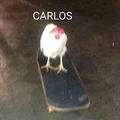 Profile Picture of Carlos Borunda (@carlosborunda6912) on Youtube