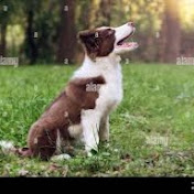 Profile Picture of Salomon Castrataro (@SalomonCastrataro) on Youtube