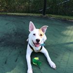 Profile Picture of Maggie Pietrofere (@maggiepietrofere) on Instagram