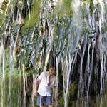 Profile Picture of Alexander Anastasov (@alexanderanastasov) on Instagram