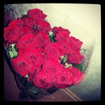 Profile Picture of Shawn Royal (@doggabovetastic) on Instagram