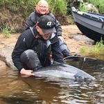 Profile Picture of Jim Curry (@guidelineflyfisher) on Instagram