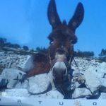 Profile Picture of James Pilott (@jamespilott) on Instagram