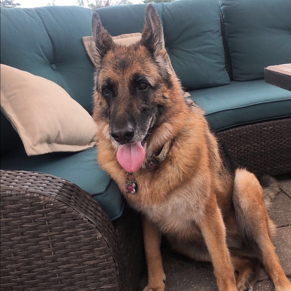 Profile Picture of Mackenzie Martin (@m_martin24) on Poshmark