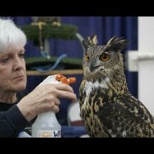 Profile Picture of Steven Rowles (@RussianTurtle3) on Twitter