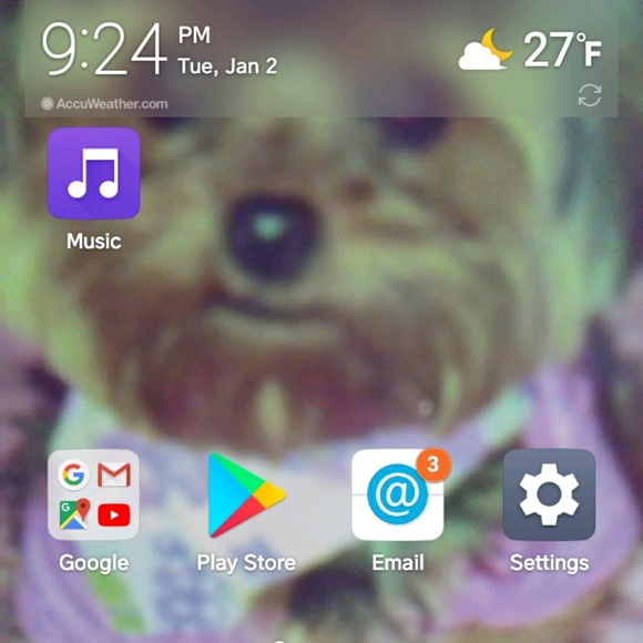 Profile Picture of Jeanann Scuderi (@yorkie718) on Poshmark