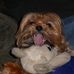 Profile Picture of Sherry Hyland (@sherry.hyland.5) on Facebook
