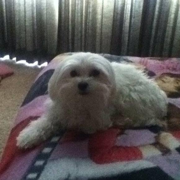 Profile Picture of Shelly Mccurdy (@shellz111) on Poshmark