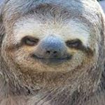 Profile Picture of Curtis Brooks (@foggysloth) on Instagram