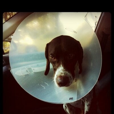 Profile Picture of Matt Staker (@Mattstaker) on Twitter