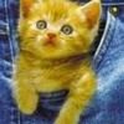 Profile Picture of Kate Pinto (@jozuheel) on Twitter