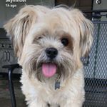 Profile Picture of Chase Michael David (@fettychase) on Instagram