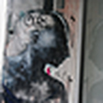 Profile Picture of Manisha Shah (@mashah1000) on Flickr