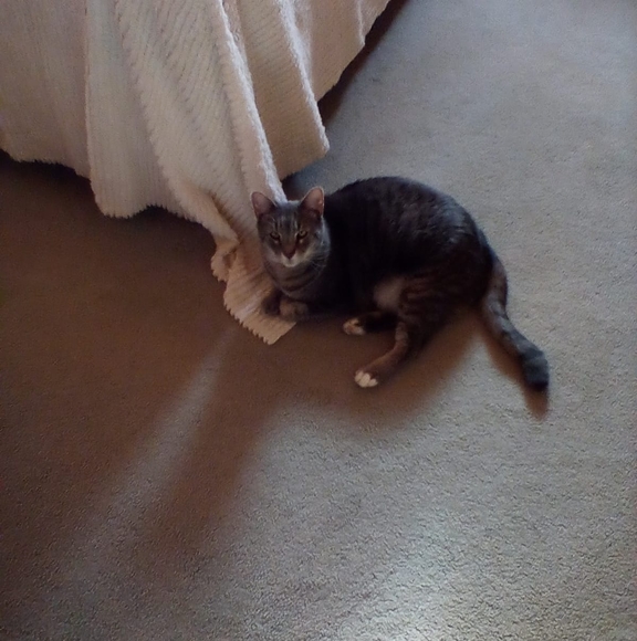 Joanne Vavala - Poshmark Profile Picture of Joanne Vavala (@jvavala1) on Poshmark