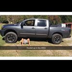 Profile Picture of Calvin Cameron (@spam_spam_cc) on Instagram
