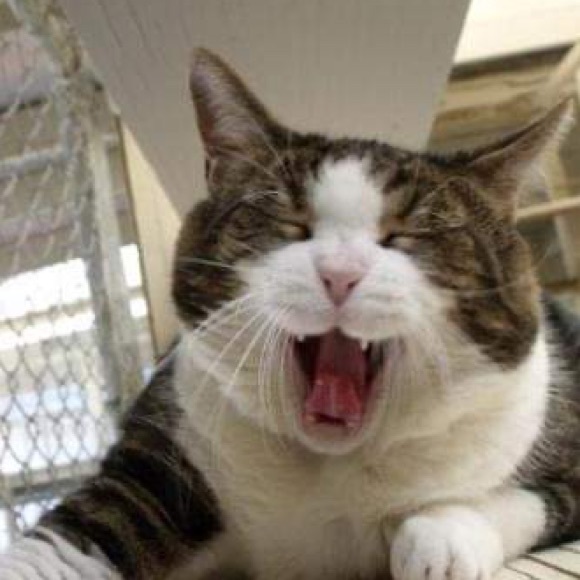 Profile Picture of Megan Luxton (@olsen5261) on Poshmark