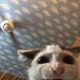 Profile Picture of Jesse Healy (@jesse.healy.142) on Facebook