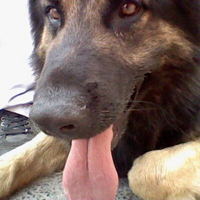 Profile Picture of Juan Pablo Cernas (@JuanPabloCernas) on Twitter