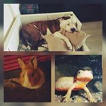 Profile Picture of amanda (@amandavandelaan2019) on Instagram