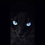 Profile Picture of fatima umar Aliyu (@itz_teema_omar) on Instagram