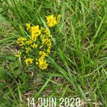 Profile Picture of Anne-Lise Robergeot (@anneliserobergeot) on Instagram