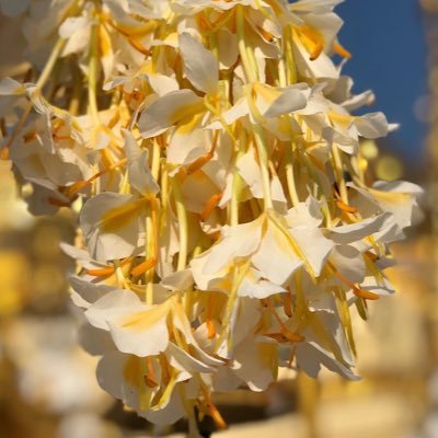 Profile Picture of ZhengBaiXue (@ZhengBaiXue1) on Twitter