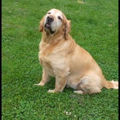 Profile Picture of Sara Devlin (@Sara_CV15) on Twitter