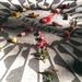 Profile Picture of Peter Carollo (@pterc1976) on Pinterest