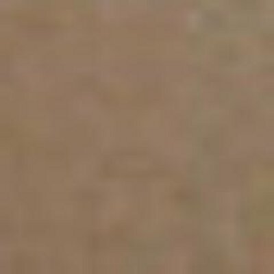 Profile Picture of Max Mahaffey (@maxmahaffey1) on Twitter