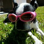 Profile Picture of Erika Meganck Cooley (@emeganck) on Instagram