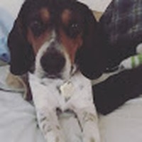 Profile Picture of Ulises Alvarado (@ulises-alvarado-11) on Quora