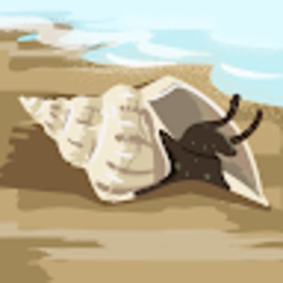 Profile Picture of Sofia Kennedy (@kennedysofiae) on Poshmark