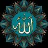 Profile Picture of Amna Mohamed (@amnamohamed087) on Tiktok