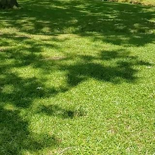 Profile Picture of Brian Mckee (@brian.mckee.965) on Facebook