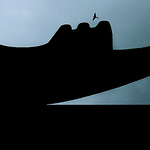 Profile Picture of AJAY BHATIA (photographer) (@AJAY BHATIA (photographer)) on Flickr