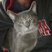 Profile Picture of Daniel Epperson (@daniel.epperson.31) on Facebook
