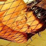 Profile Picture of Nelson Borges (@nelson.borges) on Instagram