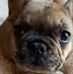 Profile Picture of Chip Chapel (@chip.chapel) on Facebook