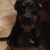 Profile Picture of Jillian Noel (@jilliannoel6723) on Youtube