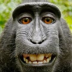 Profile Picture of joe_mcentire . (@joe_mcentire) on Pinterest