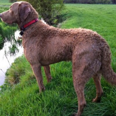 Profile Picture of Simon Potts (@SiPottsy) on Twitter